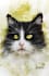 do digital dog or cat pet animal portrait painting