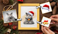 draw your pets using professional christmas costumes