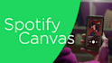 create an animated spotify canvas