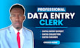 be your data entry expert, data collector, and data cleaner