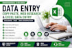 be your virtual assistant for data entry and web research