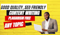 provide SEO content writing and b2b content writing services