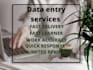 be your virtual assistant for data entry and web research