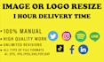 resize logo for social media ecommerce or any other size