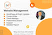 do wordpress maintenance, website update, wordpress support