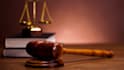 search or file patent, trademark and copyrights