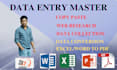 do professional accurate data entry and web research job