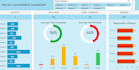 create excel dynamic app with professional forms and dashboard