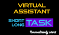 be your professional virtual assistant for the monthly tasks