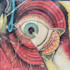 help in ocular anatomy physiology pathology pharmacology, biology