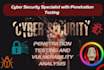 provide penetration testing and vulnerability analysis and assessment