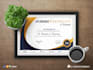 do professional certificate design, diploma, or appreciation