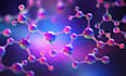 write molecular biology immunology microbiology summary
