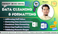 do excel data cleaning, formatting, clean up, organizing to your needs