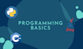 teach you basics of programming
