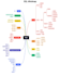 design database , optimize and write complex queries