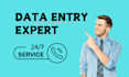 provide fast and accurate data entry services