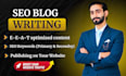 write high quality SEO blog posts and website content for you