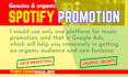 promote your spotify music with effective ads campaign