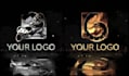 create luxury logo animation
