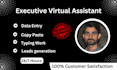 be your executive virtual assistant any time for 24 hours