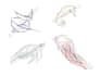 create custom fine line and linework tattoo designs
