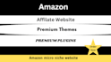 create a professional amazon affiliate niche website 24 hours