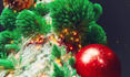 create christmas tree intro logo animation video