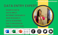 be your data entry expert, search data, internet research, and web research