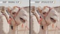 edit, enhance, upscale and improve low quality videos