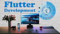 develop flutter mobile, web, desktop applications