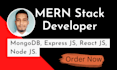 mern stack developer react application