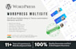 help with wordpress multisite setup, theme customization, elementor and divi