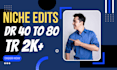 do niche edits link insertion on high DR sites