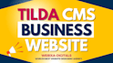design tilda business responsive website and tilda redesign
