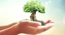 write research articles about agriculture on urgent basis