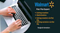 elevate your sales with expert walmart listing, SEO, wfs, and PPC strategies