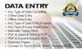 provide support for data entry and convert data