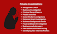 provide online investigation services and background checks
