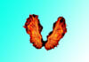 design awesome wings mascot logo within 1 day
