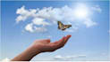 do three dimensional therapy t3 session