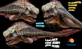 create 3d model of an animal or creature