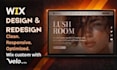 build professional wix website development wix studio and wix ecommerce expert