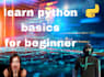 teach you python basics beginner