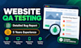 manually test your website and deliver a detailed bug report