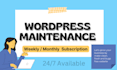 maintenance and manage wordpress website