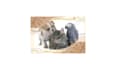 write articles for veterinary medicine, pets and birds
