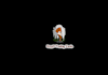 design popular catchy trading cards logo
