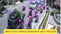 do yolo object detection segmentation recognition  projects