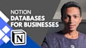 create notion databases for your business
